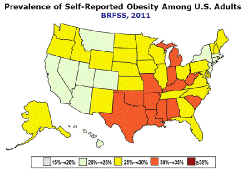 2011 obesity map smaller